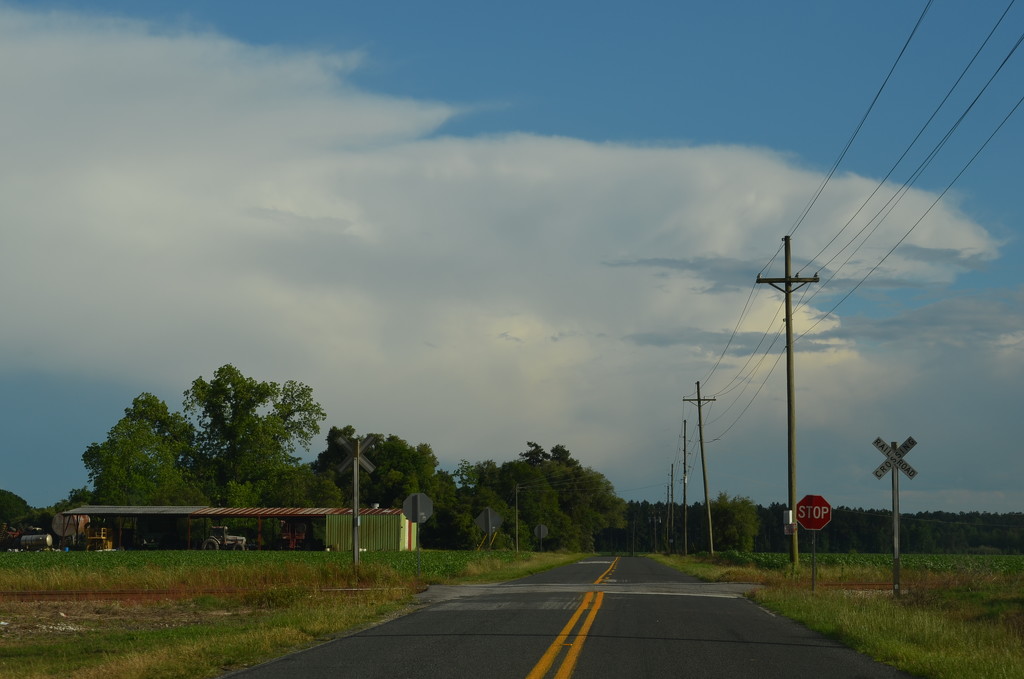 Rural South Carolina countryside, Orangeburg County by congaree