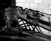 10th May 2016 - Supermarket Trolley Shadow