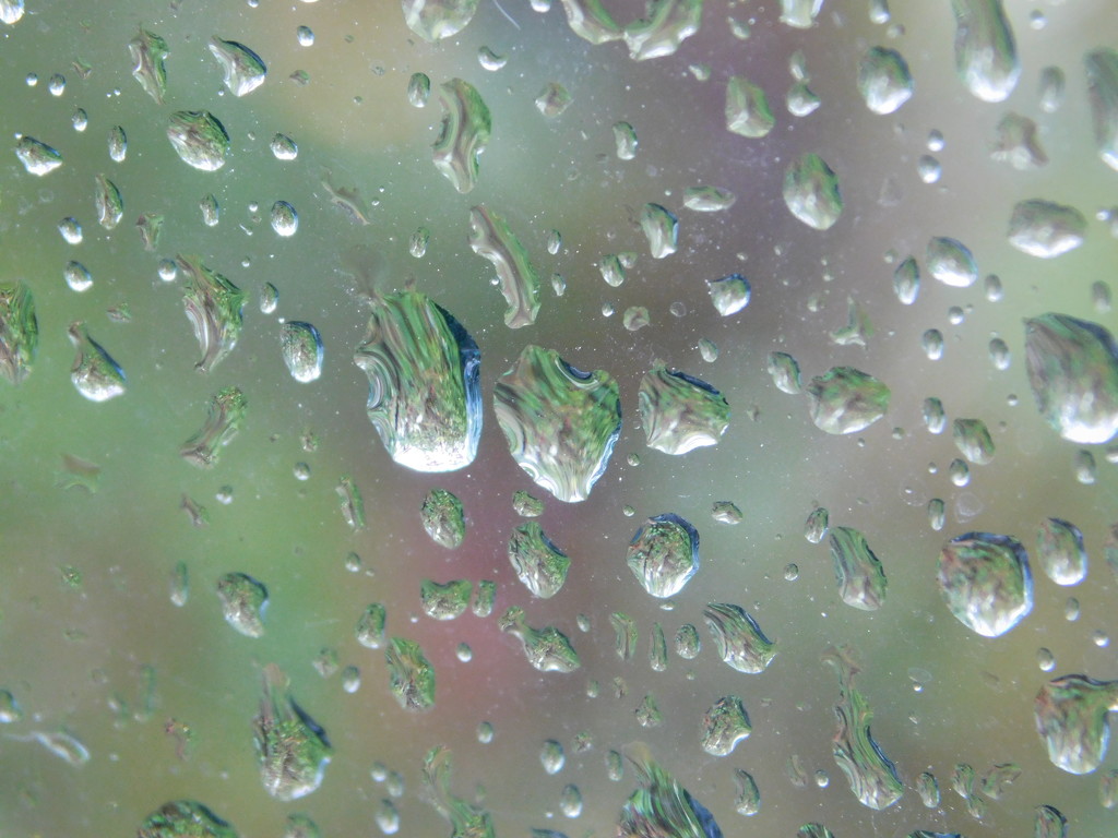 Raindrops by 365anne