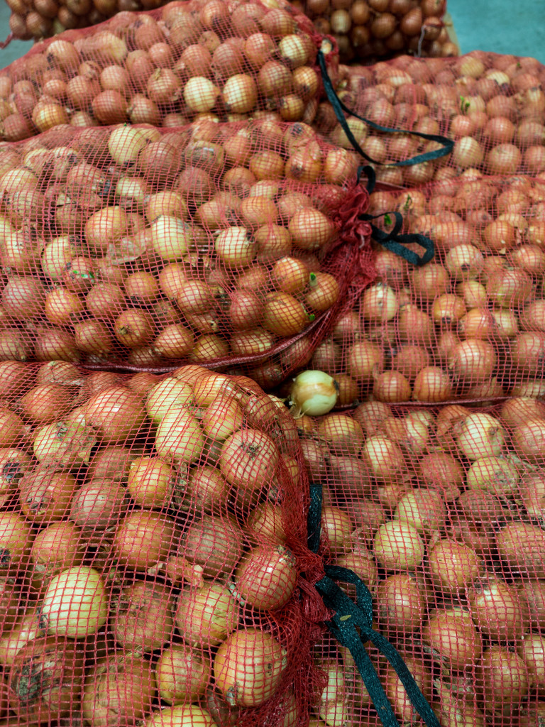 Onions in fifty pound bags by rminer