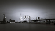 6th May 2016 - Day 127, Year 4 - The Erasmus Bridge, Rotterdam