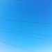 Blue Sky by naomi