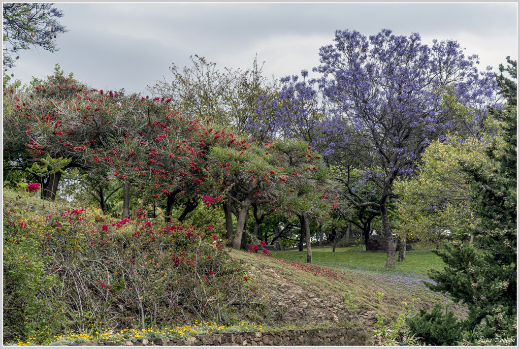 Colour in the Park by pcoulson