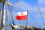 11th May 2016 - Harbour Flags #7 Poland