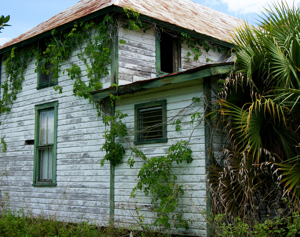 Nature taking over by eudora