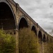 Viaduct by swillinbillyflynn