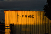 30th Apr 2016 - The Shed
