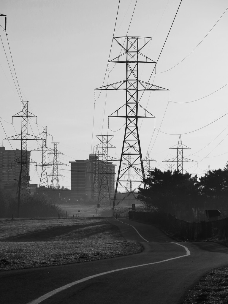 early morning walk toronto by corktownmum