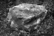 12th May 2016 - A rock