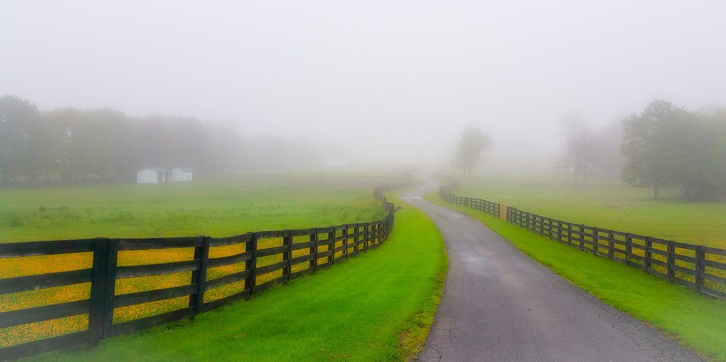 Foggy Path to Spring by sbolden