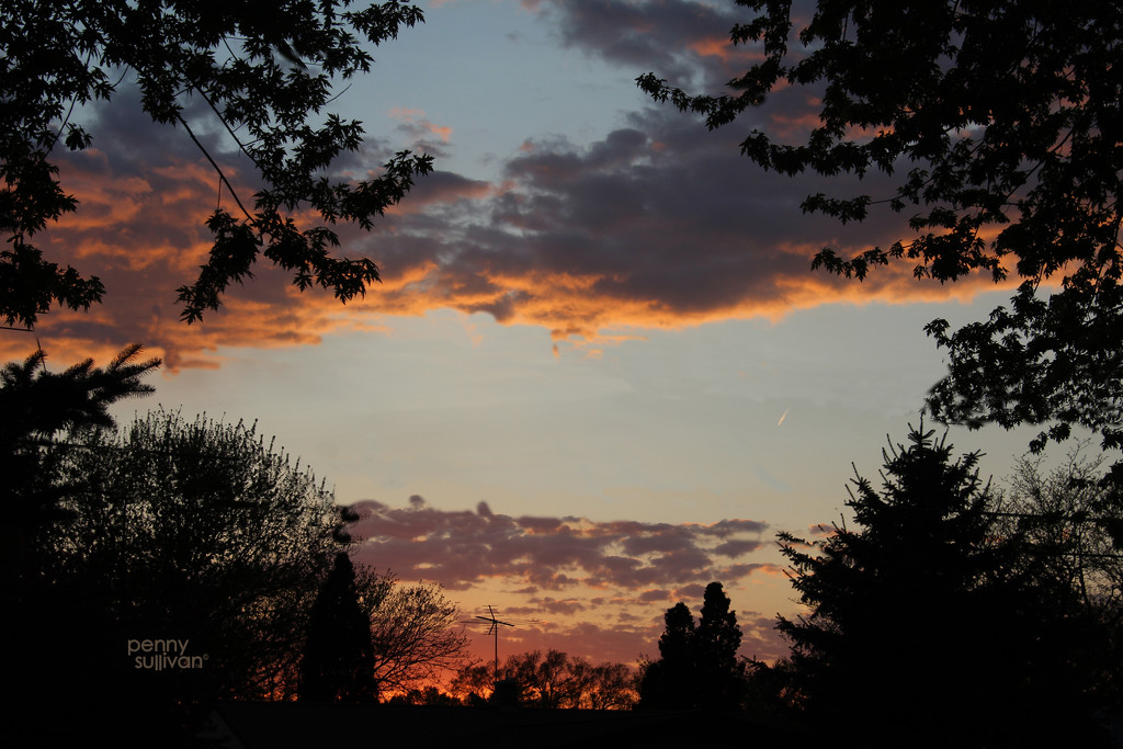 0505_2636 sunset by pennyrae
