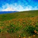 Mt. Hood from Sevenmile Hill by teiko