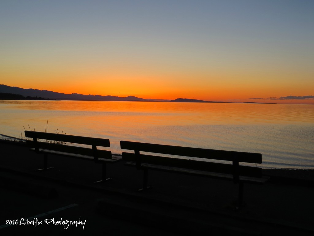 Beautiful B.C. Sunsets by kathyo