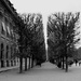 Palais Royal garden by parisouailleurs