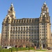  The Liver Building by judithdeacon