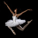 The Ballerina by abhijit