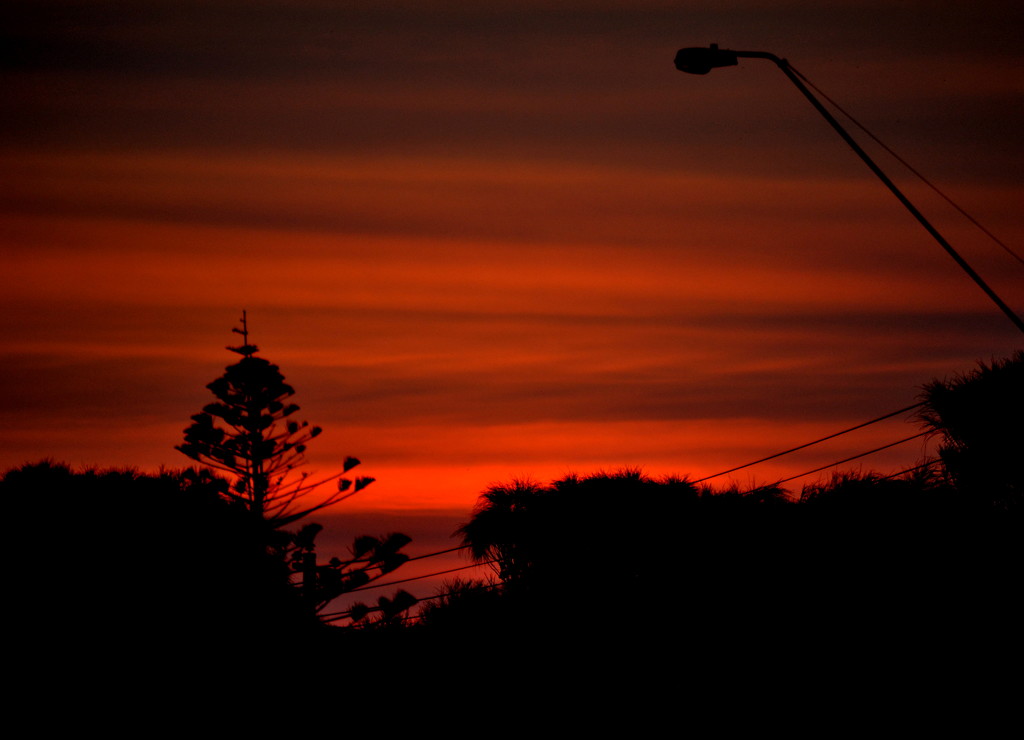 evening silhouettes by dianeburns