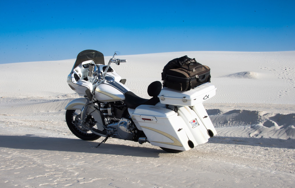 White Winny at White Sands by stray_shooter