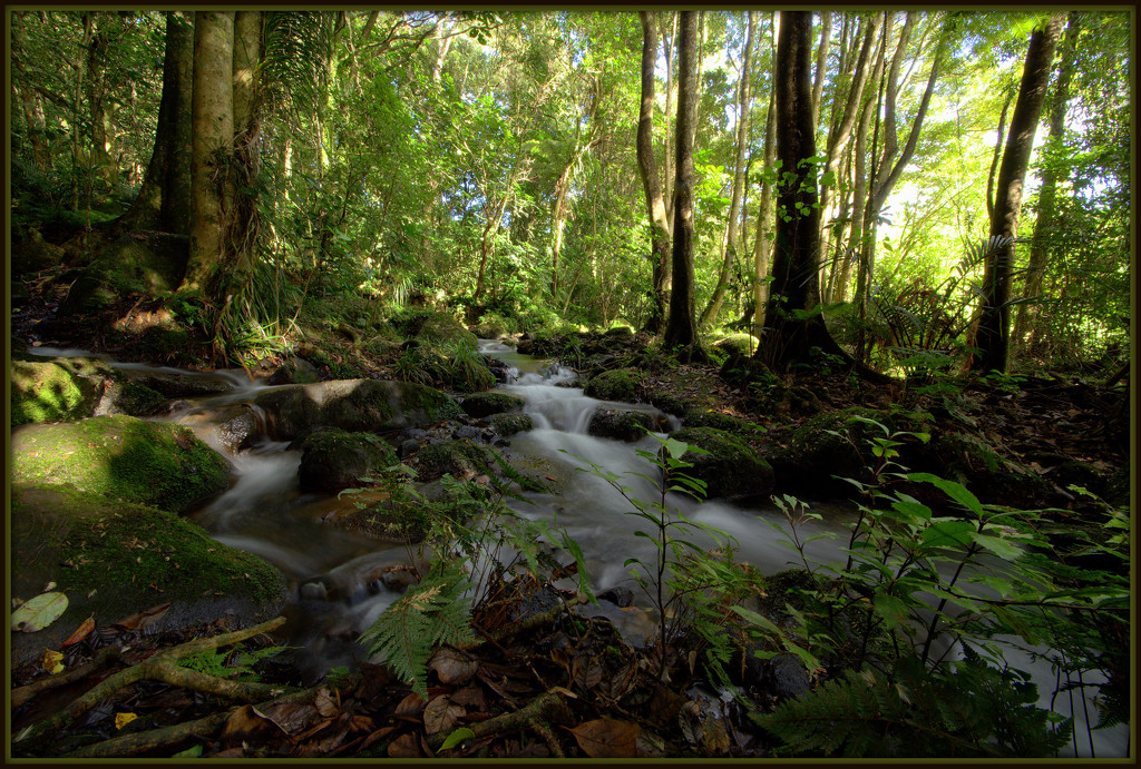 The Whangamaire stream by dide
