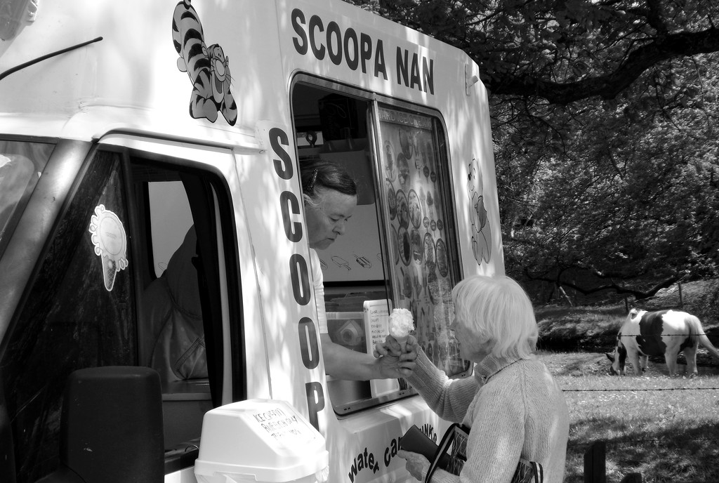 Scoopa Nan Van by ajisaac