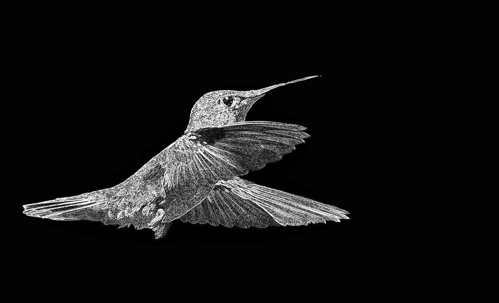  hummer glass b and w by jgpittenger