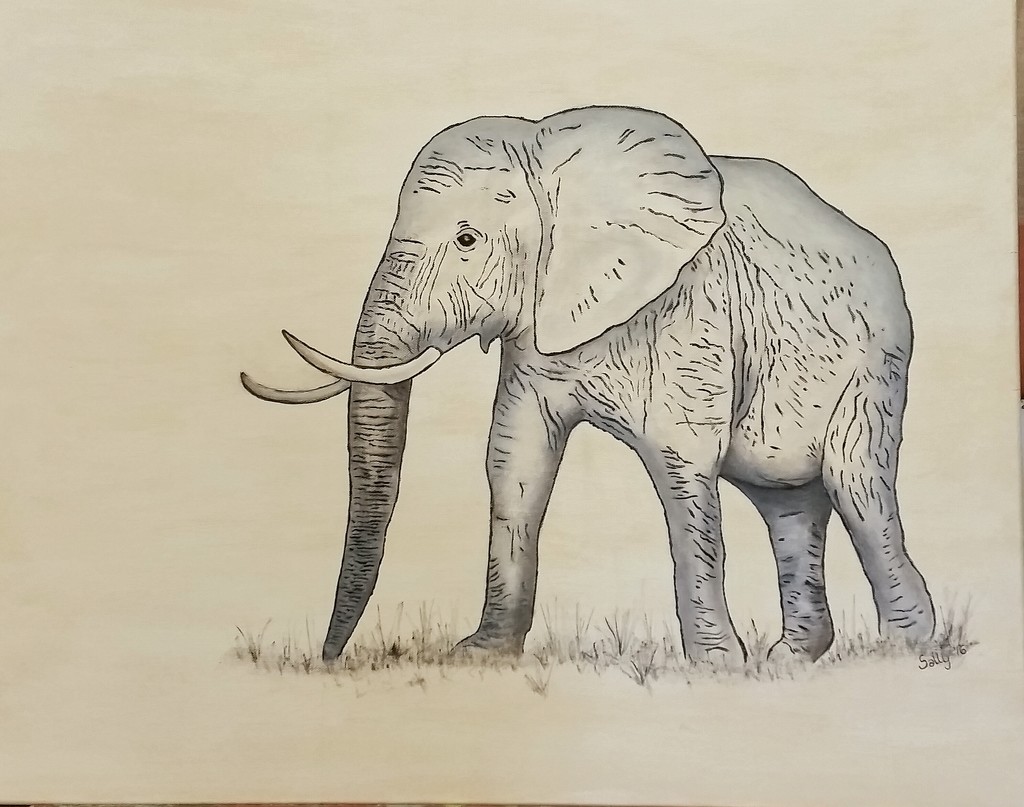 Painted Elephant  by salza