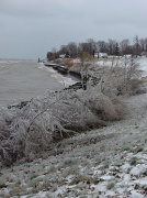 4th Dec 2010 - Winter Shoreline