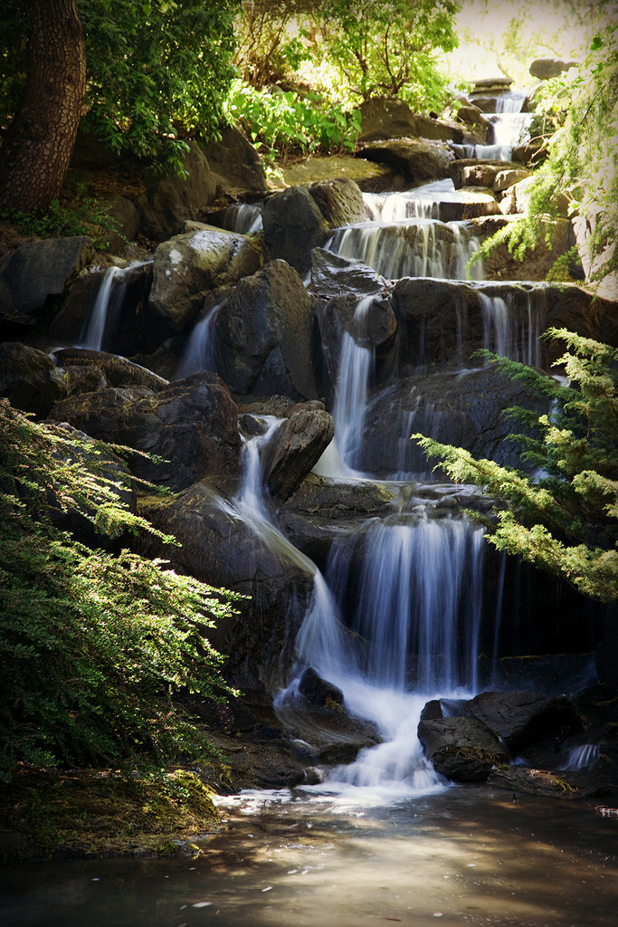 Botanical Gardens Water Falls by pdulis