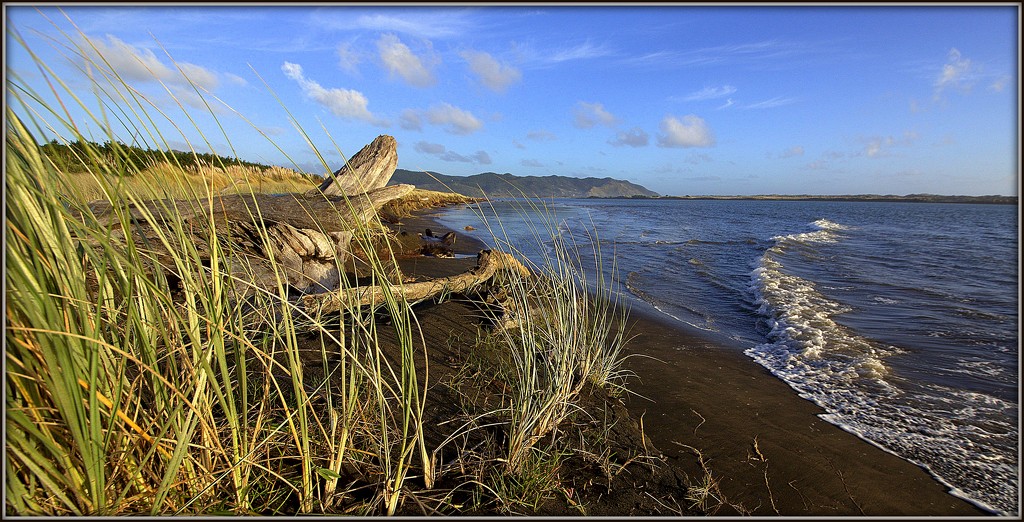The Waikato Rivermouth by dide