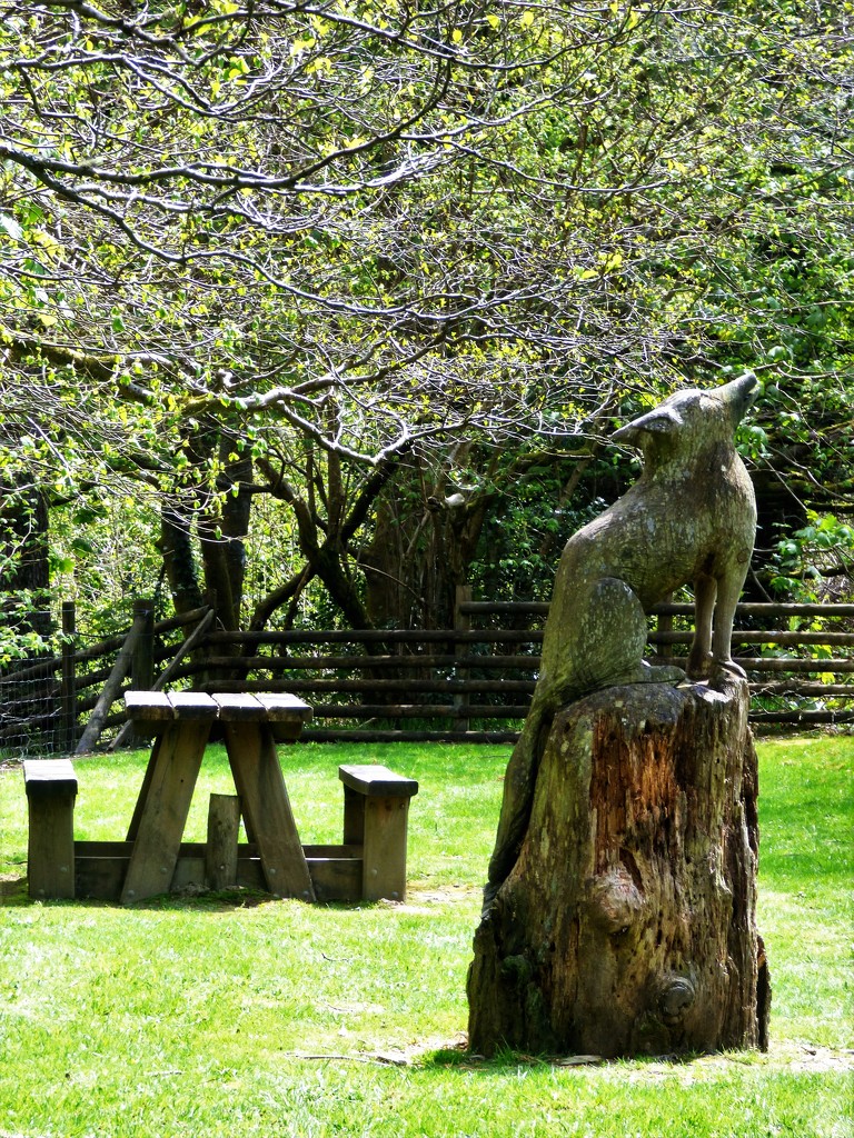 Fox in-situ carving  by beryl