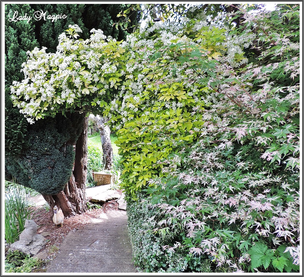 Beautiful Nature Archway by ladymagpie