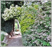 16th May 2016 - Beautiful Nature Archway
