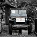 Kona Pacific Farmers Coop Jeep b and w  by jgpittenger