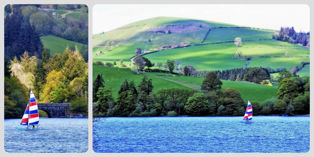 Sailing on the Lake Vyrnwy  by beryl