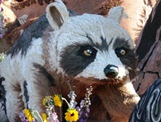 24th Sep 2014 - Rose Parade Float Racoon