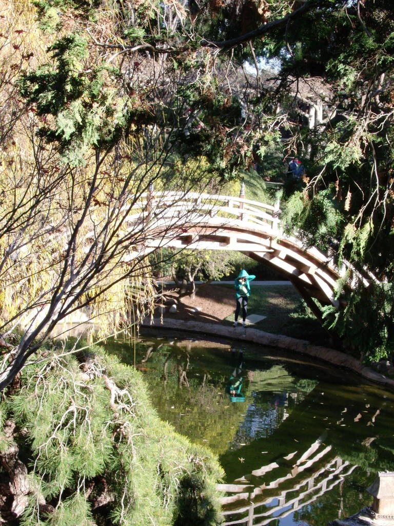 huntington gardens Bridge by jnadonza