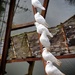 Pretty doves all in a row by swillinbillyflynn