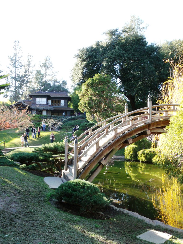 huntington gardens bridge by jnadonza