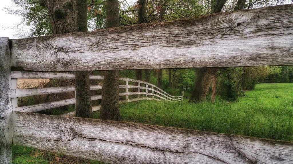 Fence Between Fence by sbolden