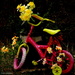 Children's Bike by radiogirl
