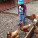 Boy and his chickens.... by anne2013