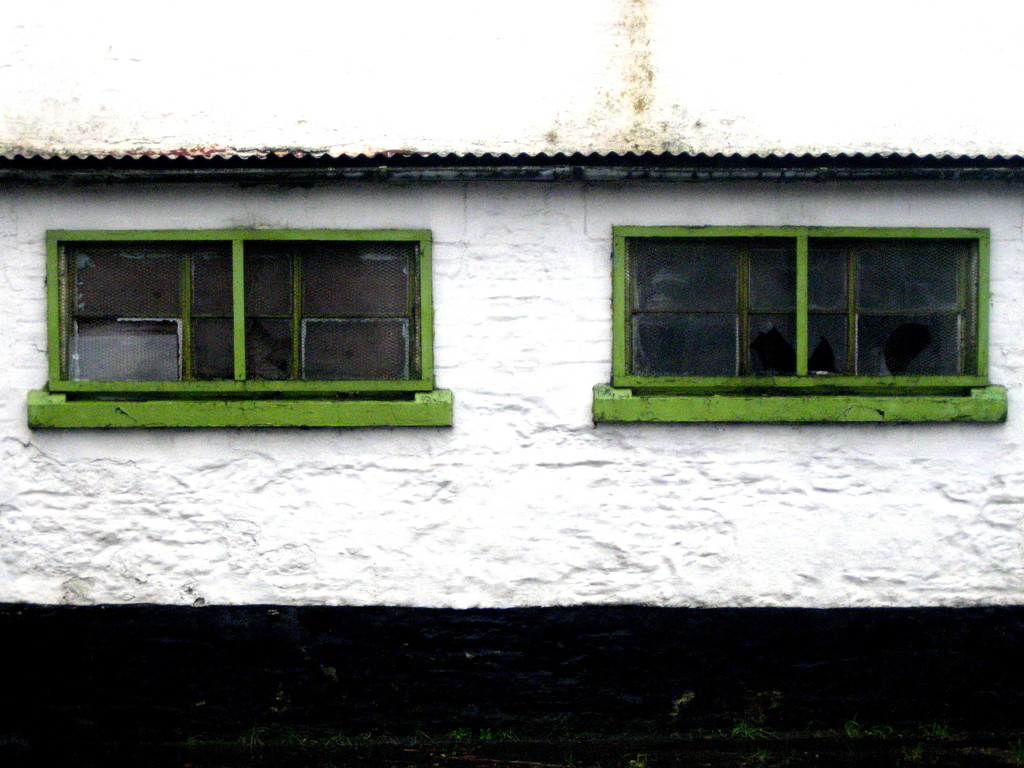 green windows by steveandkerry