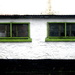 green windows by steveandkerry