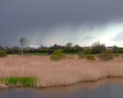 18th May 2016 - Rainstorm over the reedbeds