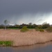 Rainstorm over the reedbeds by julienne1