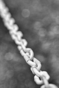 19th May 2016 - Chained 