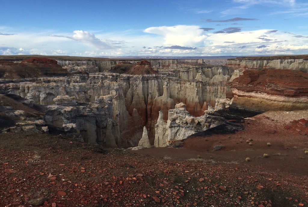 Coal Mine Canyon by dridsdale