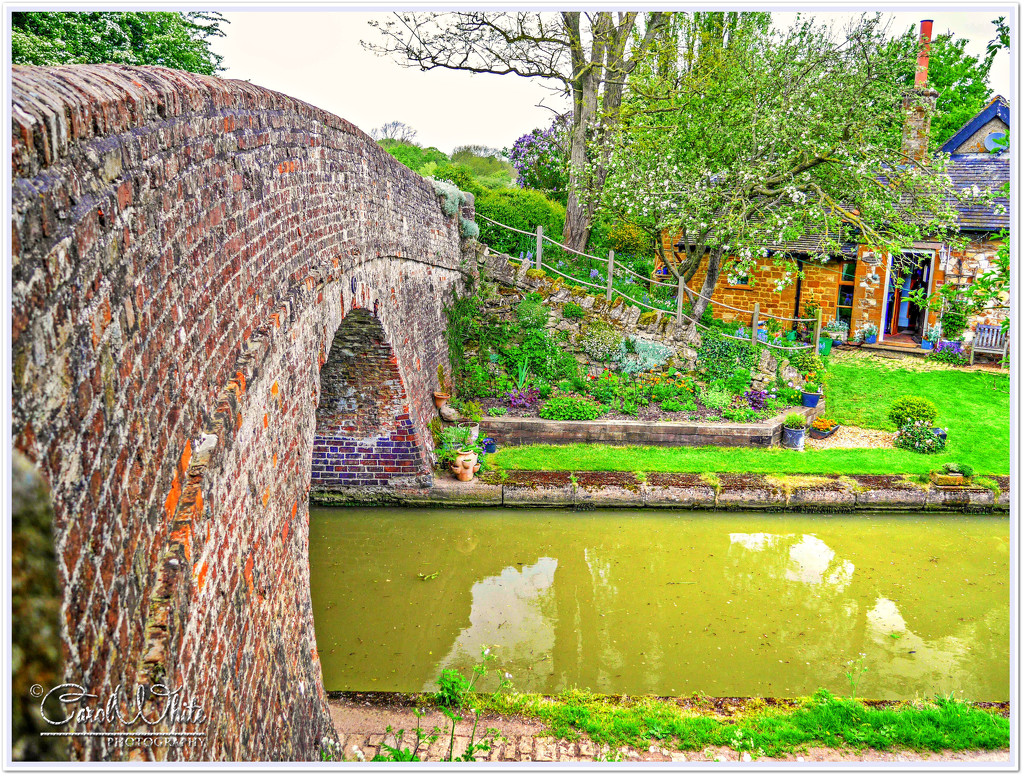 Canal Bridge And Garden by carolmw