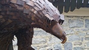 21st May 2016 - Sculpture  of Haast Eagle (Queenstown)