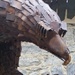 Sculpture  of Haast Eagle (Queenstown) by Dawn